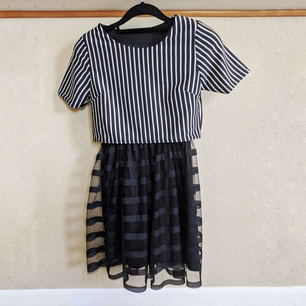 Striped Black and White Mesh Dress